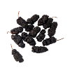 Mulberry Fruit