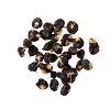 Dried Black Wolfberry