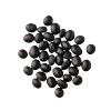 Black Bean
