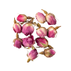 Rose Flower