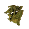 Mulberry Leaf