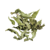 Peppermint