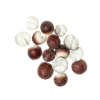 Gordon Euryale Seed